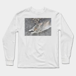 Rabbit, Desert Cottontail, Wildlife Long Sleeve T-Shirt